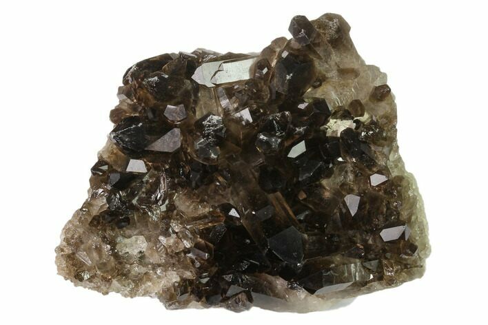 Dark Smoky Quartz Crystal Cluster - Brazil #137834